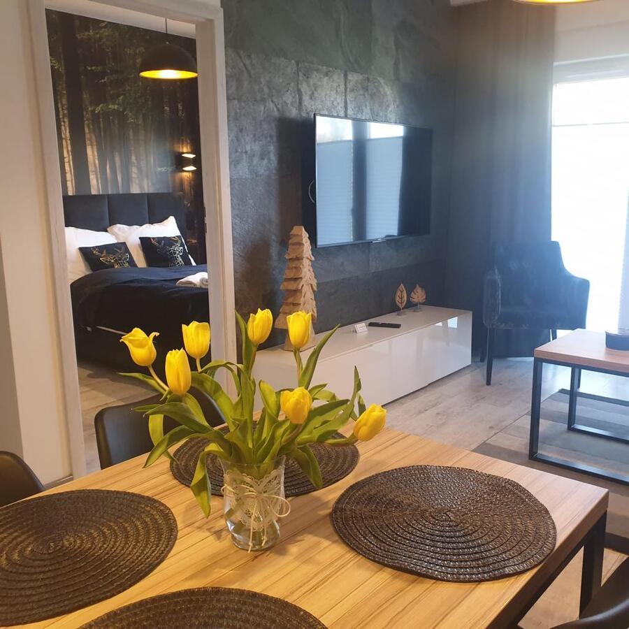 Apartament Izerska Przygoda - 5D Apartamenty Świeradów-Zdrój Exterior foto